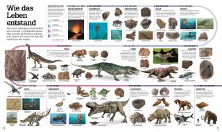 Bilderpedia