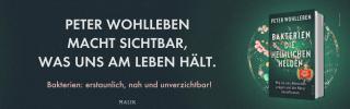 2026 Piper Banner Wohlleben